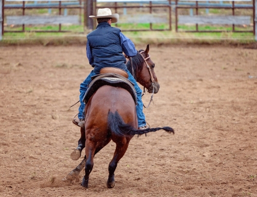 The Equestrian History of Weatherford, Texas