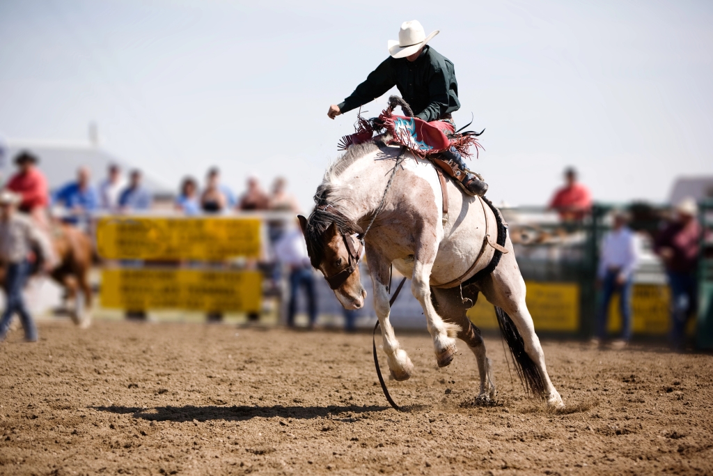 Rodeos near Hooves and Wheels