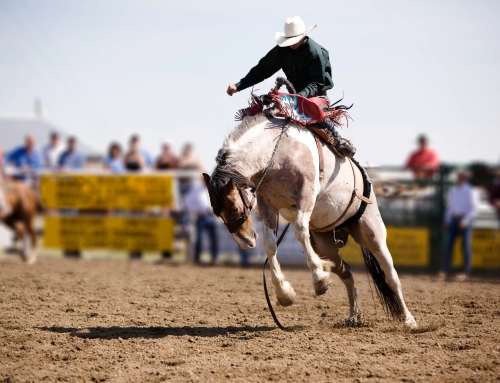 The history of Rodeos in Weatherford Texas